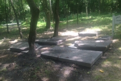 Lewis Cemetery after 2016 restoration
